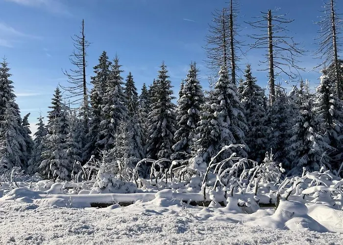 Apartment Kobel 25 - Wurmbergblick Braunlage